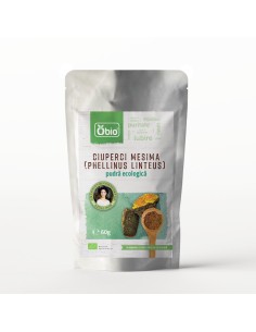 Ciuperci Mesima (Phellinus Linteus) pudra bio, 60g, Obio                                            