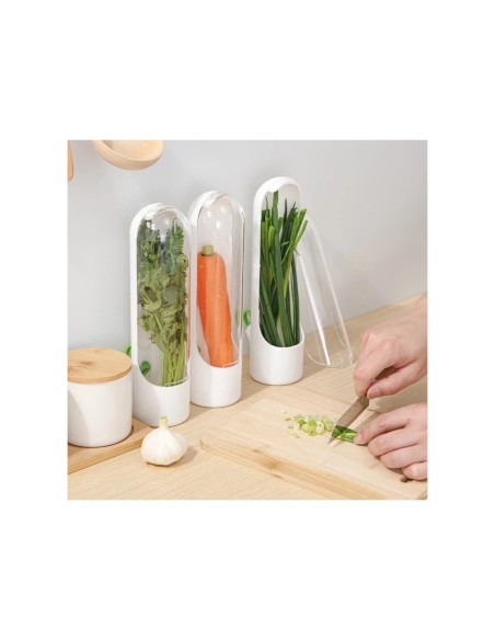 Recipient pentru depozitarea ierburilor proaspete, menta, legume pentru frigider si alte produse, 25x6.5cm, POJ08 - 3 - Acasa