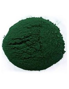 Spirulina pulbere eco 5kg